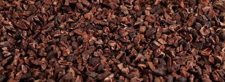Heap of Cocoa nibs, close-up. Crushed cocoa beans of weak roasting. selective focus. Design element for menu or web banner. Cacao, Sugar-free product, Natural antidepressant.の写真素材