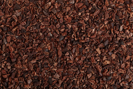 Crunchy pieces of peeled, crushed and lightly roasted cocoa beans with pleasant chocolate bitterness, close-up. Cacao nibs. Sugar-free product, Natural antidepressant.の写真素材