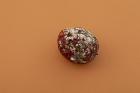 Ugly moldy passion fruit. Rotten spoiled food. Concept - Improper food storage. Reduction of organic waste.の写真素材