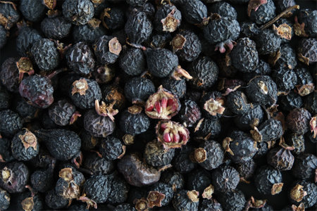 Dried Black Hips. Dried fruits Endemic plant black rosehip Rosa spinosissima, altaica.の写真素材