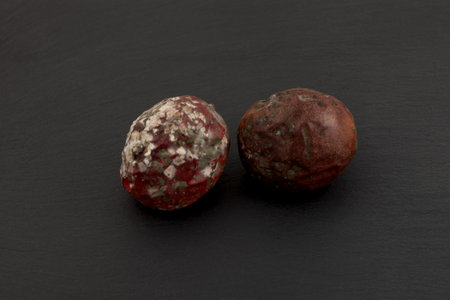 Moldy passion fruit or maracuya. Rotten spoiled food. Improper food storage.の写真素材