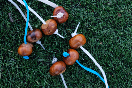 Conkers. Fruit of the Horse chestnut tree with string for traditional Conkers game.の写真素材