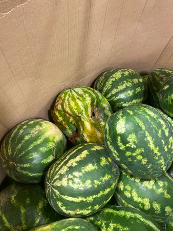 Crushed watermelon that was damaged during transportation. Improper loading and transportation of melon crops.の写真素材