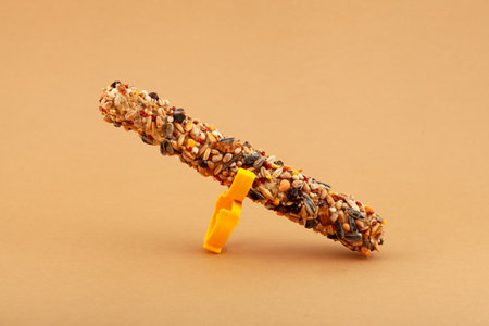 Pressed grain stick for small rodents and birds with a convenient plastic clip for mounting on the cage. Delicious, healthy treat for hamsters, for rats, chinchillas, mice, parrots and other pets.の写真素材