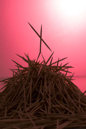 toothpickの写真素材