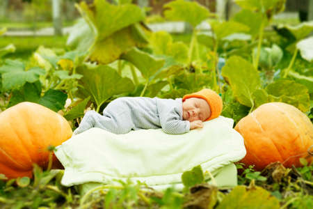 baby sleeping on big pumpkinの写真素材