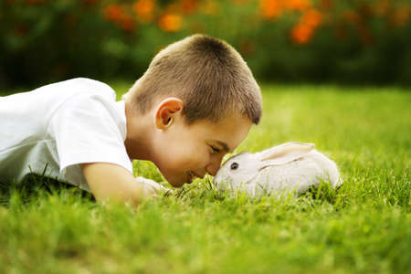 little boy with rabbitの写真素材