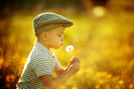 cute little boy with dandelionsの写真素材
