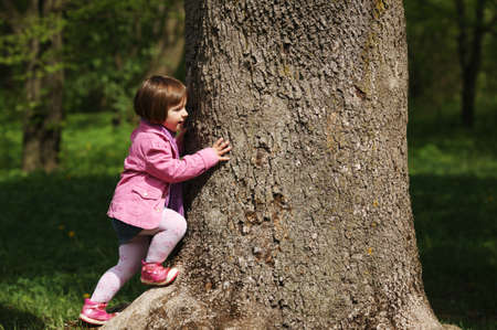little girl climbing tree in the parkの写真素材