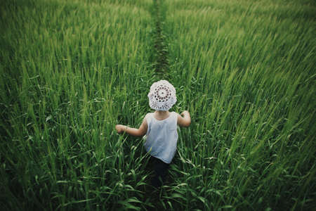 little girl the high grassの写真素材