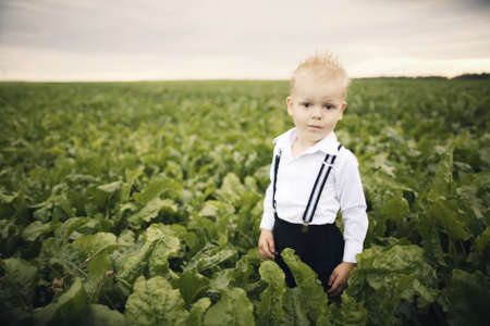 little funny boy in green field