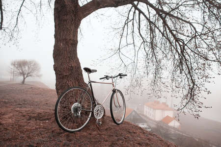 old vintage bike near the treeの写真素材