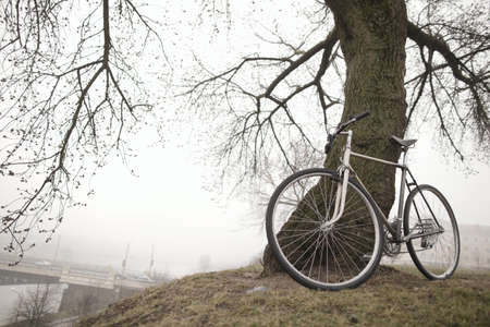 old vintage bike near the treeの写真素材