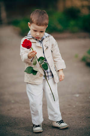 small and pretty boy hold red rose in handの写真素材