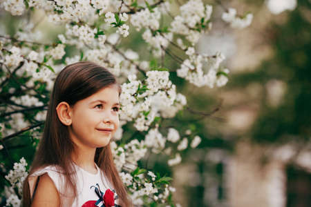 pretty little  smiling girl near the apple tree flowersの写真素材