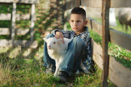 little boy with lamb on the farmの写真素材