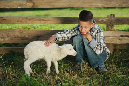 little boy with lamb on the farmの写真素材