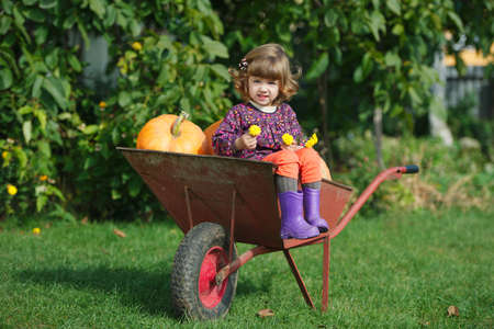 little funny girl with pumpkins in the gardenの写真素材