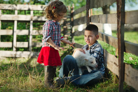 little boy and girl with lamb on the farmの写真素材