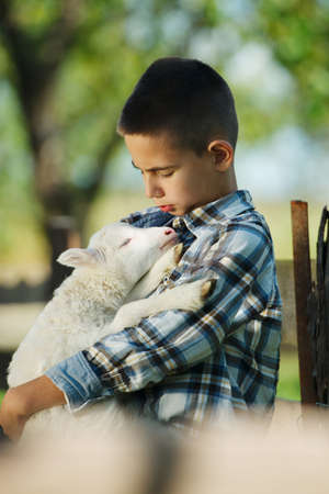 little boy with lamb on the farmの写真素材