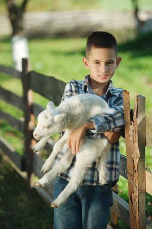 little boy with lamb on the farmの写真素材