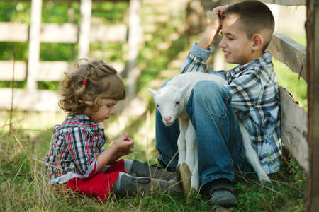 little boy and girl with lamb on the farmの写真素材
