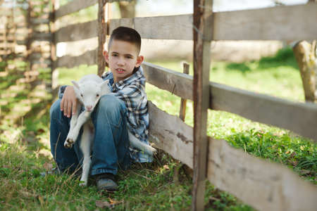 little boy with lamb on the farmの写真素材