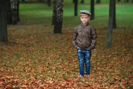 little funny boy in autumn leaves outdoor portraitの写真素材