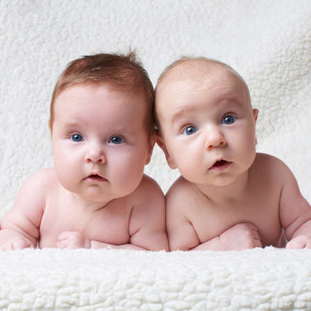 portrait of cute babies on light background