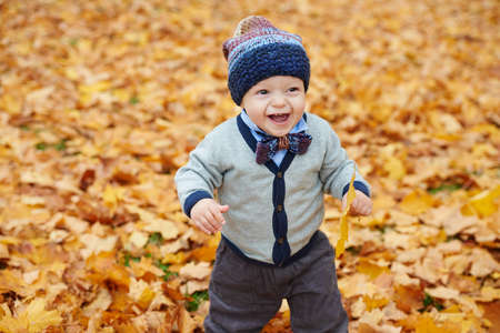 cute little baby in autumn park with yellow leaves