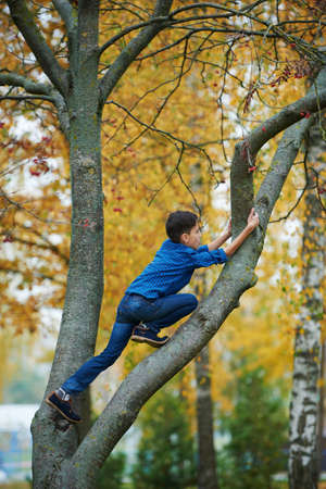 boy climbs up the tree in autumn parkの写真素材