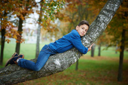 boy climbs up the tree in autumn parkの写真素材