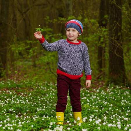 photo of little boy in spring forest with many flowersの写真素材