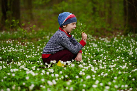 photo of little boy in spring forest with many flowersの写真素材