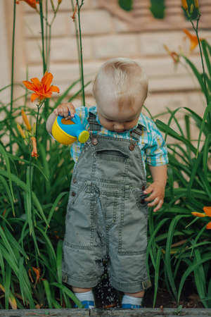 little funny boy plays with water can in summer gardenの写真素材