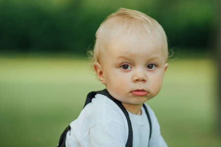 photo of little sweet boy in summer parkの写真素材
