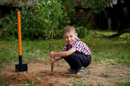photo of little funny boy with shovel in gardenの写真素材