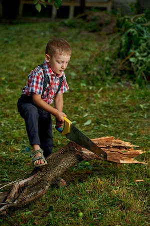 little boy sawing fallen tree in gardenの写真素材