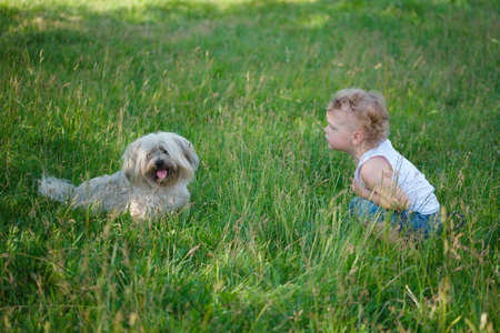 little boy with shaggy dog in summer parkの写真素材