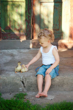little boy with little yellow duckling in summer villageの写真素材