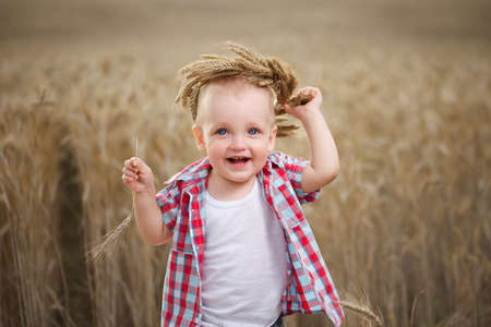 photo of cute little boy in autumn wheat fieldの写真素材