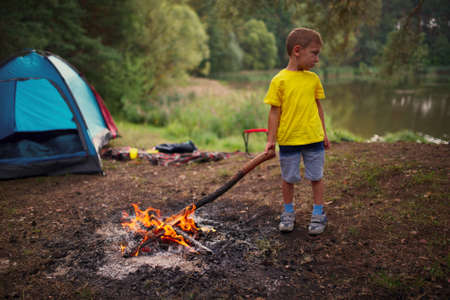 photo of happy children hiking in the forestの写真素材
