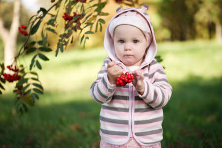 photo of little funny girl with rowanの写真素材