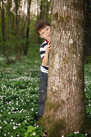 little boy in forest on flowers fieldの写真素材