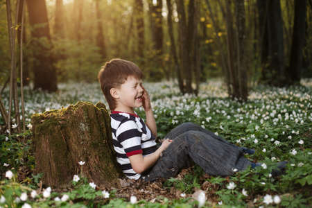 little boy in forest on flowers fieldの写真素材