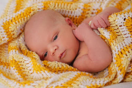 cute newborn baby in the blanketの写真素材