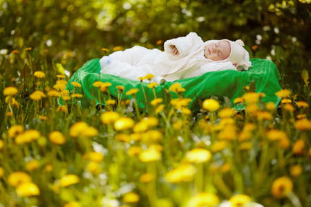 sleeping baby on big yellow pillow in flowers fieldの写真素材