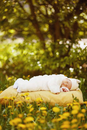 sleeping baby on big yellow pillow in flowers fieldの写真素材