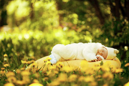 sleeping baby on big yellow pillow in flowers fieldの写真素材
