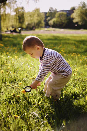 boy child magnifying glass exploring meadowの写真素材